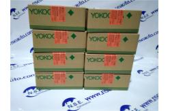 China Yokogawa AAI143-H00 Yokogawa Analog Input Module AAI143-H00 with good price supplier