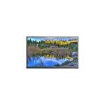 1920*1080 N140HCN-G53 14.0 inch 40 pins LCD Display LCD Screen for sale