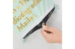 China 10x13 Inch Handle Compostable Mailing Bags Adhesive Thick Waterproof PE Poly supplier