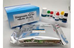 China High Sensitivity Elisa Test Kit Easy To Operate For Hbcab supplier