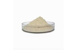 China 2000U/MG-20000U/MG Lysozyme Customized Enzyme Activity Light Yellow Powder supplier