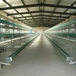 Galvanised Steel Structure Poultry House Customized With Insulated Panels