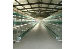 China Galvanised Steel Structure Poultry House Customized With Insulated Panels supplier
