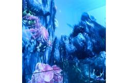 China Custom 4k Large Screen Holographic Theater Interactive Viewing Projector supplier