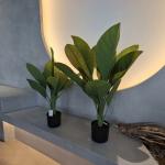 Long Lasting Plastic Material Artificial Plants 70cm Artificial Dieffenbachia Tree