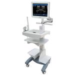 Touch screen 3D Ultrasound Scanner Machine-- SS-100 for sale