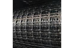 China UV Resistant Plastic Geogrid Mesh Designed For High Strength supplier