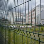 Factory supply decorative roll top 6ft fence powder coated 3d welded wire mesh fence for sale