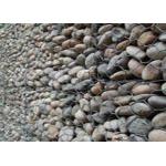 Hexagon 2.0mm Pvc Coated Gabion Baskets Wall Cages For Preventing for sale