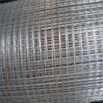 1/2x1/2 304 Stainless Steel Welded Cage Wire Poultry Netting, Galvanized Welded Wire Mesh for Animal Fencing for sale