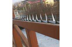 China Iron Wire Home Security Fence Spikes For Walls Anti Climb supplier