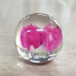 Dried Flower Paperweight Ball 80mm Nature Style Logo Customized for sale