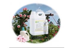 China Light Yellow Liquid Laundry Detergent Fragrances Sakura Fragrance For Making Detergent supplier