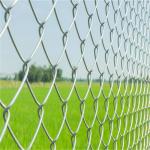 Silvery Diamond Wire Mesh Galvanized Chain Link Fence 50 Feet Length for sale