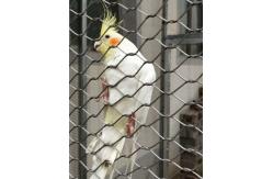China Stainless Steel 304/316 Aviary Mesh Small hole flyproof Parrot Cage house fence supplier