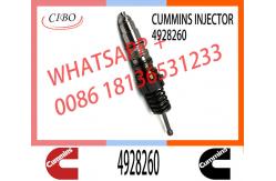 China Engine Parts ISX15 QSX15 Common Rail Fuel Injector 4928260 2874505 4903472 supplier