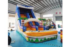 China ODM Outdoor Inflatable Water Slides Palm Tree Bouncy Castle supplier