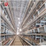 H Type Chicken Poultry Cage Coops Automatic Battery Cages for sale