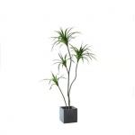 180cm Tall Artificial Landscape Trees Showroom Dracaena Potted Plants for sale