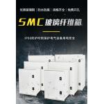 SMC Cable Fiberglass Enclosure Distribution Box With Double Locks CE Standard for sale