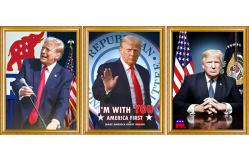 China TRUMP Designs Printing Customized 3D PET Lenticular Poster 3D Lenticular Printing supplier