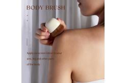 China Jessup Light Gray My Magical Foundation Brush SF002 supplier
