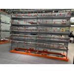 Automatic Egg Quail Cage For 6 Tier Cage Capacity 200000 Quail Per Farm