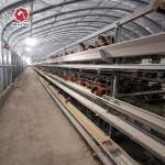 Poultry Farm Layer Chicken Cage Galvanized Long Layer Battery Cages for sale