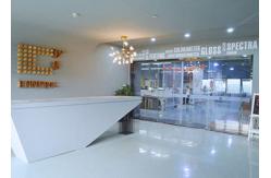 China Paint Matching Spectrophotometer manufacturer