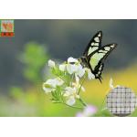 Anti - Butterfly Garden Mesh Netting For Protect Crops And Vegetables 40g/Sqm for sale