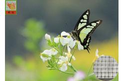 China Anti - Butterfly Garden Mesh Netting For Protect Crops And Vegetables 40g/Sqm supplier