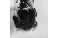 China Black Flame Retardant Fiber 51mm PSF A Grade Polyester Staple Fiber supplier