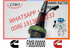 China COMMON RAIL FUEL INJECTOR 2867147 F00BJ00001 F00BJ00000 0986435900 supplier