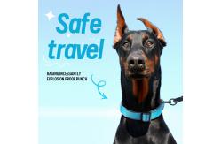 China Pet Adjustable Dog Collar Reflective Collar For Medium And Large Dogs supplier