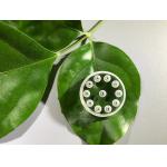 Customized Shape Sapphire Crystal Glass 9.0 Hardness Wear Resistance To High Pressure for sale