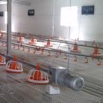Motor Engine Automatic Pan Feeding System For Chicken Broiler Poultry