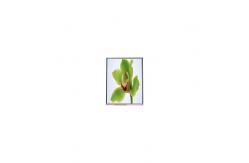 China 3.5 inch TFT LCD screen QVGA 320*240 A035QN02 V5 supplier