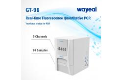 China Fast Testing Real Time Fluorescence Quantitative PCR Analyzer 96 Wells 5 Channels supplier