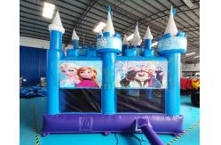 China SGS Inflatable Frozen Jumping Bouncy Castle For Gardens supplier