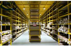 China Sintered Mesh Filter manufacturer