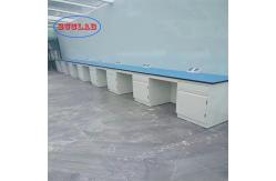 China Custom Chemistry Lab Bench - Adjustable Glass Shelf and Insertion Aluminum Alloy Handle supplier