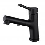 T&F Polished Bathroom Faucet With Pull Down Sprayer Surface Mounted