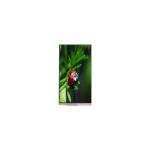 1080*1920 6.0 inch PC060JC-01P LCD Screen lcd Panel for sale