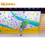 High Durability Rock Climbing Wall Customizable Easy To Install for sale