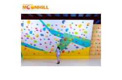 China High Durability Rock Climbing Wall Customizable Easy To Install supplier