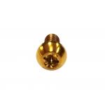 Titanium Alloy Bolt Motorcycle Brake Disc Screw With Customized Colorful Anodized for sale
