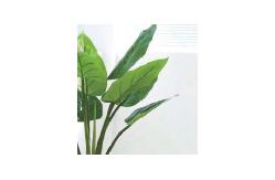 China Height 110cm Artificial Banana Tree Environmental Friendly supplier