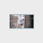 15.6 Inch LCD display 500nits 1920X1080, 0-60℃ LVDS for sale