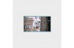 China 15.6 Inch LCD display 600nits 3840*2160, 0-50℃，high gamut85% supplier