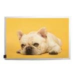 10.1 Inch Outdoor LCD Digital Signage Display With TNI Panel Optical Bonding for sale